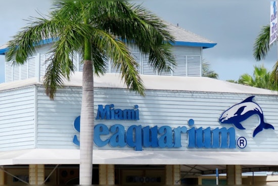Miami-Dade County Mulls Terminating Lease With Miami Seaquarium Over Animal Welfare Concerns