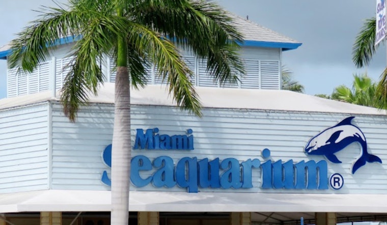 Miami-Dade County Mulls Terminating Lease With Miami Seaquarium Over Animal Welfare Concerns