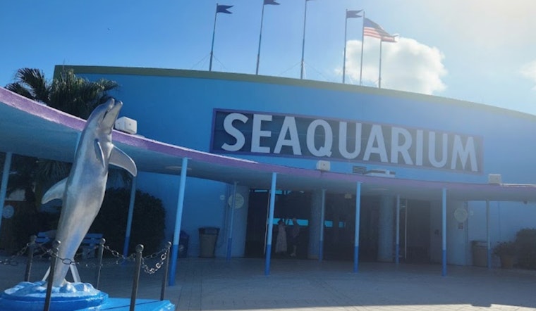 Miami Seaquarium Under Fire After USDA Report Cites Neglect: Dolphin Swallows Nail, Sea Lion Goes Without Cataract Surgery