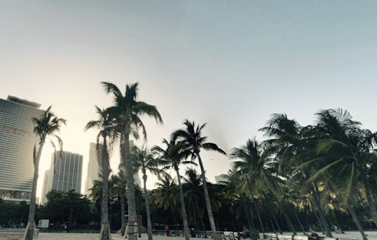 Miami to Experience Comfortable Cool Weather with Sunny Skies, National Weather Service Forecasts Mild Conditions