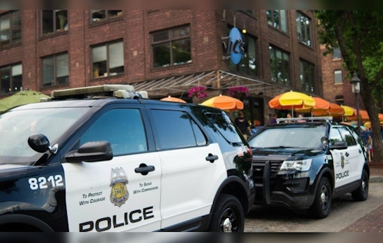 Minneapolis Police Implement 'Robbery Pattern Response Protocol' Amid Surge in Juvenile-Led Thefts