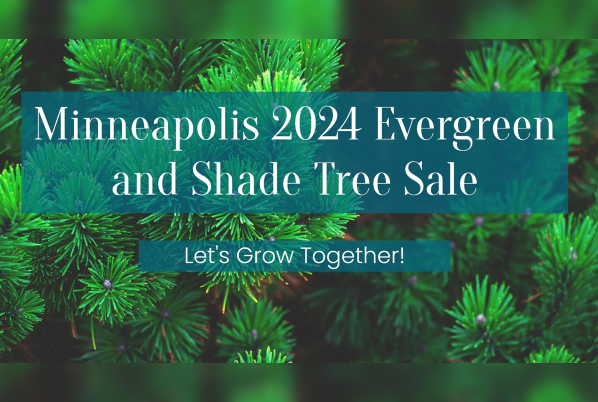 Minneapolis Residents Can Enter City Trees Lottery for Discounted