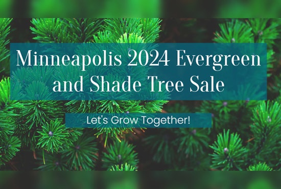 Minneapolis Residents Can Enter City Trees Lottery for Discounted Trees to Boost Urban Canopy