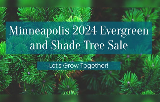 Minneapolis Residents Can Enter City Trees Lottery for Discounted Trees to Boost Urban Canopy