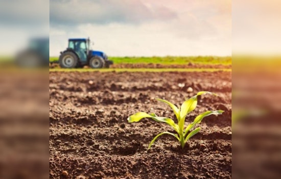 Minnesota Farmers Eye Early Planting Amid Unusually Warm Winter and Sparse Snowfall