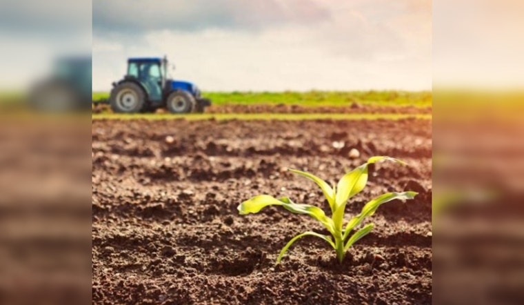 Minnesota Farmers Eye Early Planting Amid Unusually Warm Winter and Sparse Snowfall