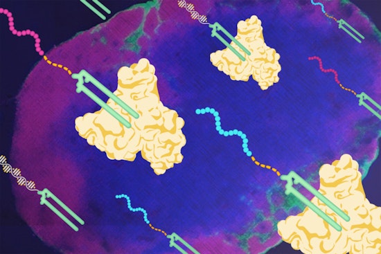 MIT Spinoff Elicio's Breakthrough 'Hitchhiking' Cancer Vaccine ELI-002 Shows Promise in Trials