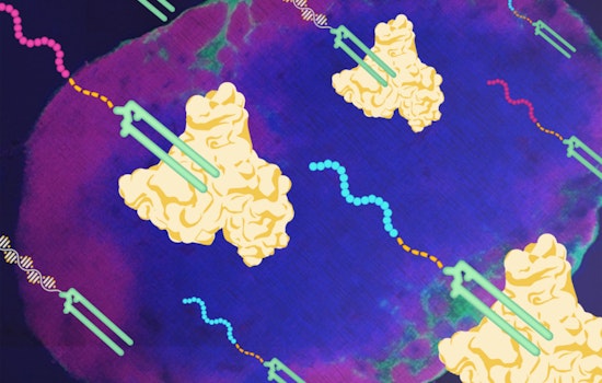 MIT Spinoff Elicio's Breakthrough 'Hitchhiking' Cancer Vaccine ELI-002 Shows Promise in Trials
