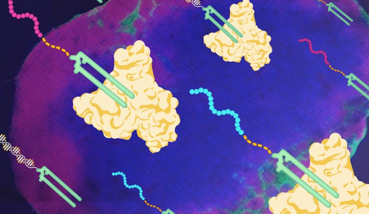 MIT Spinoff Elicio's Breakthrough 'Hitchhiking' Cancer Vaccine ELI-002 Shows Promise in Trials