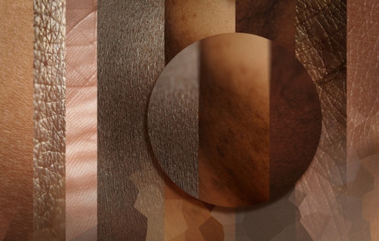 MIT Study Reveals Diagnosis Disparities on Darker Skin
