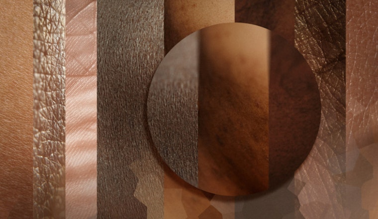 MIT Study Reveals Diagnosis Disparities on Darker Skin
