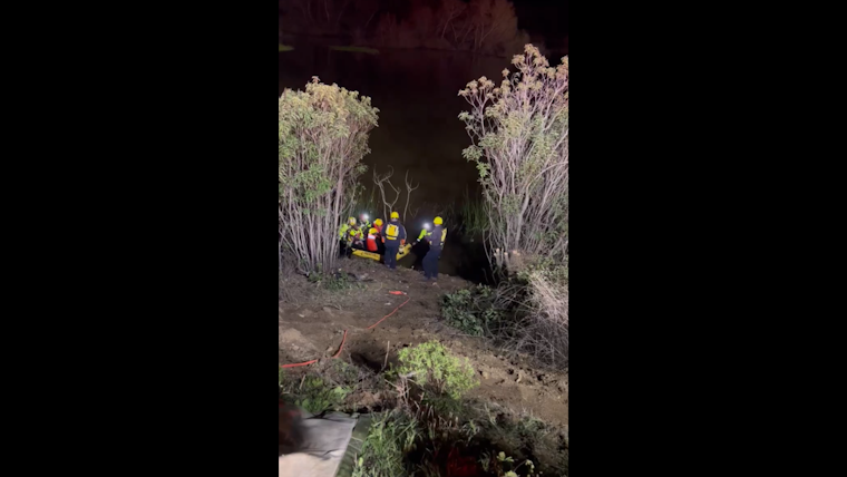 VIDEO: Multiple Agencies Coordinate Rescue of Two Men Stranded in Jamul Creek Tree Near Chula Vista