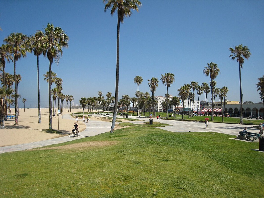 Naked Brawl Unfolds at Venice Beach, LAPD Investigates Viral Melee