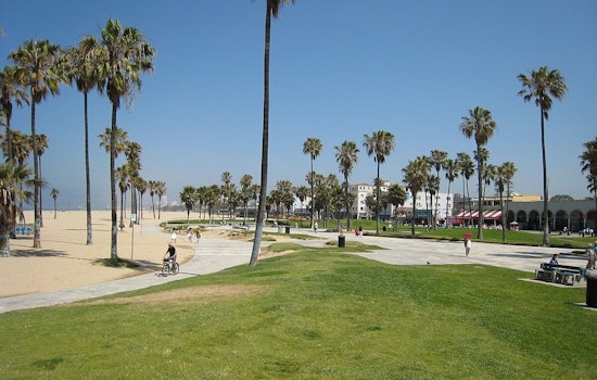 Naked Brawl Unfolds at Venice Beach, LAPD Investigates Viral Melee Featuring Spiked Clubs
