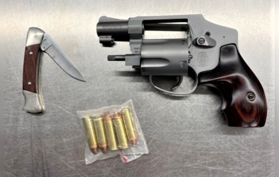 New Hampshire Man, 86, Unintentionally Brings Gun to Logan Airport, Highlighting National Security Issue