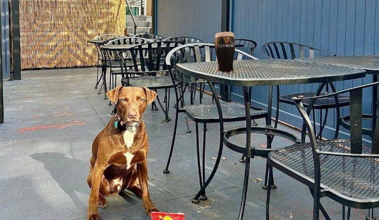 New Irish Pub The Dooliner to Bring Authentic Experience to Nonantum in Newton