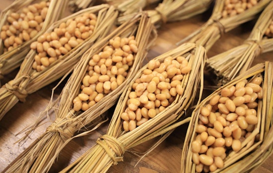 New Study Suggests Fermented Foods Might Have Fueled Prehistoric Brain Growth