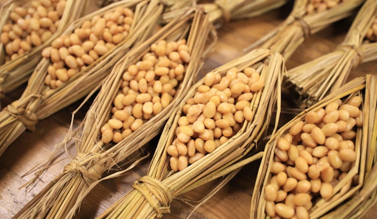 New Study Suggests Fermented Foods Might Have Fueled Prehistoric Brain Growth