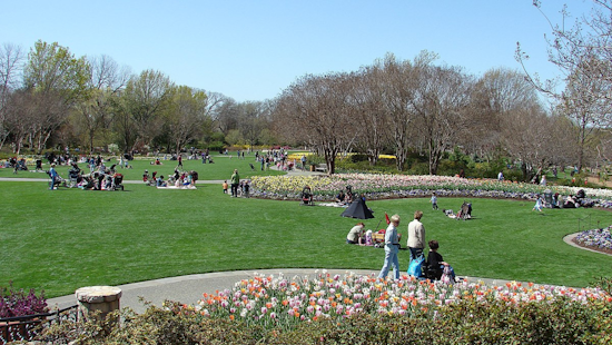 North Texas Awaits Burst of Spring Colors at Dallas Arboretum's Annual 'Dallas Blooms' Festival
