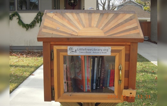 Oak Park Community on Edge as Serial Vandal Targets Little Free Libraries