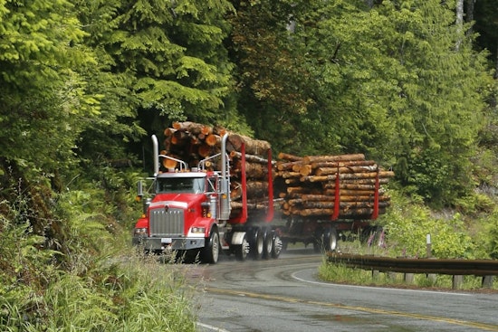 Oregon Senator Proposes Taxpayer-Funded Wildfire Costs, Sparking Debate Over Timber Industry Influence
