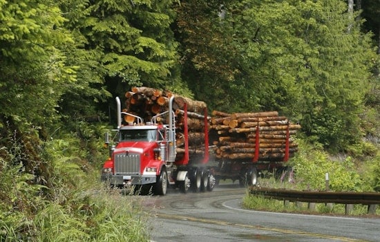 Oregon Senator Proposes Taxpayer-Funded Wildfire Costs, Sparking Debate Over Timber Industry Influence