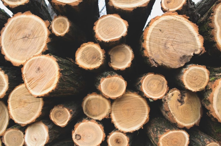 Oregon Timber Industry Continues to Influence Policy, Securring New Taxpayer Support Amid Legislative Battle