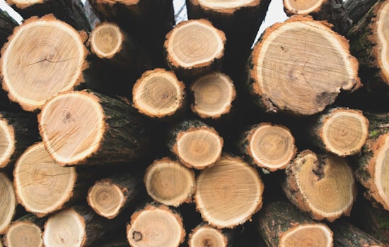 Oregon Timber Industry Continues to Influence Policy, Securring New Taxpayer Support Amid Legislative Battle