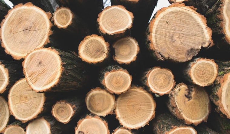 Oregon Timber Industry Continues to Influence Policy, Securring New Taxpayer Support Amid Legislative Battle