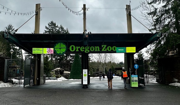 Oregon Zoo Offers Special $12 Admission Rate for a Limited Time to Delight Visitors in Portland