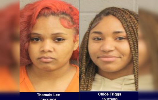 Pair Suspected of Skip-Scanning Theft Arrested at Walmart in Harris County