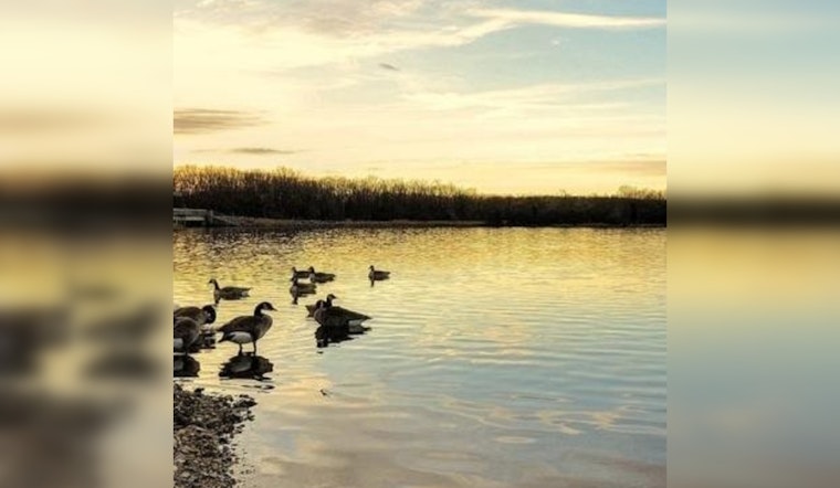 Partly Sunny Skies Bring Mild Temperatures in Chicago Amid River Flooding Alert
