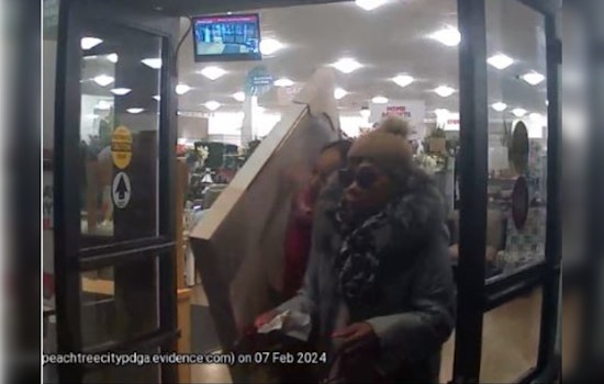 Peachtree City Police Seek Public's Help to Nab Suspects in Homegoods Art Theft