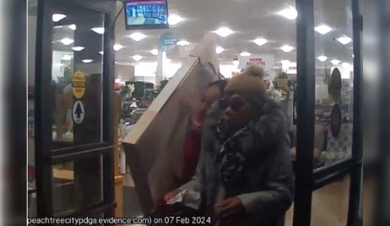Peachtree City Police Seek Public's Help to Nab Suspects in Homegoods Art Theft