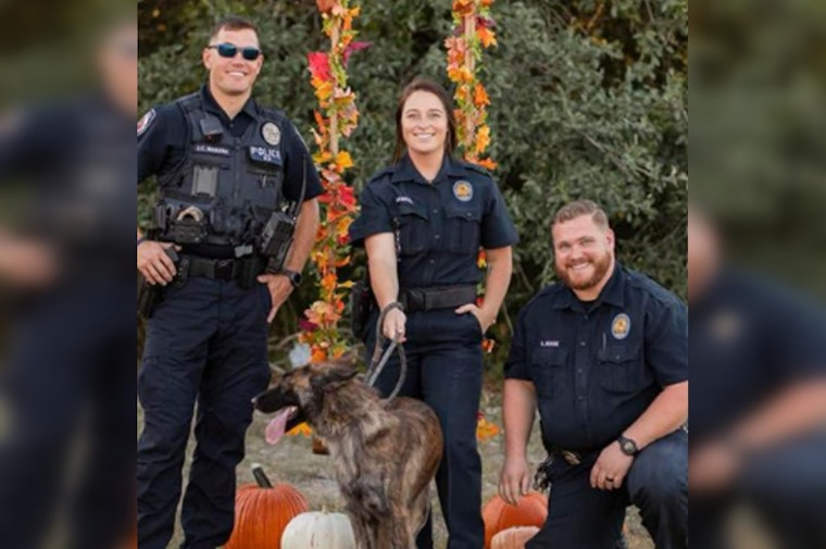 Pet Adoption Meets Vineyard Chic at Blue Lotus Winery Event Hosted by