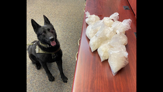Petaluma Traffic Stop Reveals 10 Pounds of Meth Hidden in Dog Treat Boxes, Suspect Released on $0 Bail