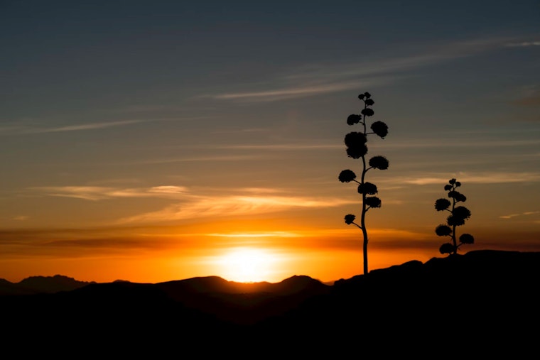 Phoenix to Enjoy Mild Temps and Sunny Skies, No Rain in Weekly Forecast