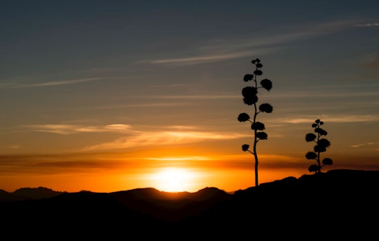 Phoenix to Enjoy Mild Temps and Sunny Skies, No Rain in Weekly Forecast