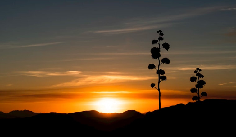 Phoenix to Enjoy Mild Temps and Sunny Skies, No Rain in Weekly Forecast