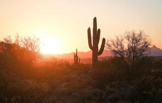 Phoenix to Enjoy Week of Sunny Skies and Mild Temperatures, NWS Forecasts Promise Comfortable Climate