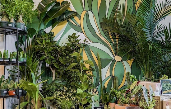 Castro's Plant Therapy Faces Lease Termination After Monthslong Closure