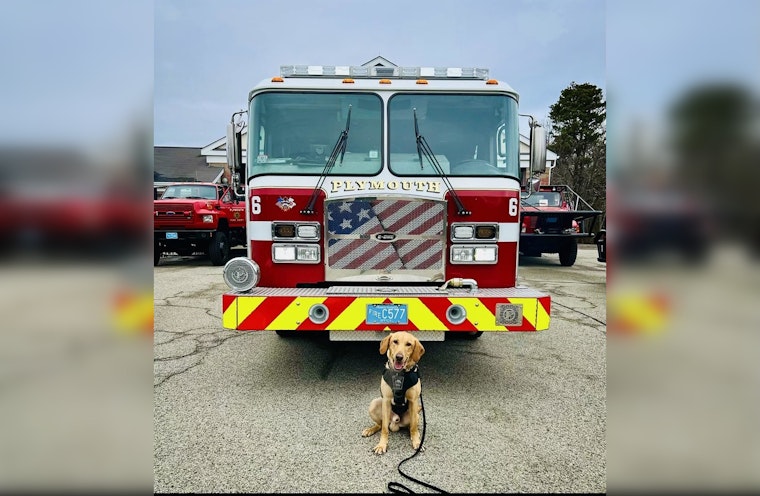 Plymouth Fire Chief Attempts to Recruit Police K-9 in Light-Hearted Department Rivalry