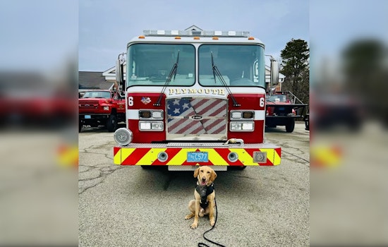 Plymouth Fire Chief Attempts to Recruit Police K-9 in Light-Hearted Department Rivalry