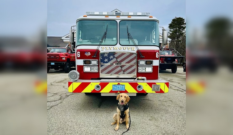 Plymouth Fire Chief Attempts to Recruit Police K-9 in Light-Hearted Department Rivalry