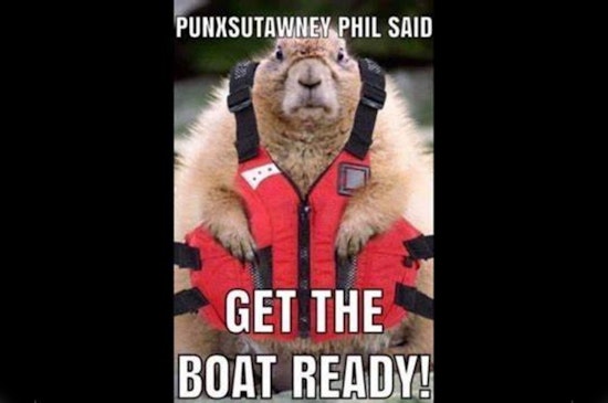 Plymouth Police Chief Flynn Remains Docked at Desk, Not Sailing to Gobbler's Knob on Groundhog Day