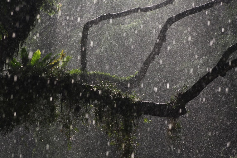 Portland Braces for Weekend Weather Mix of Rain, Snow, and Thunderstorms