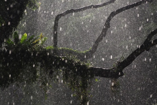 Portland Braces for Weekend Weather Mix of Rain, Snow, and Thunderstorms
