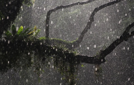 Portland Braces for Weekend Weather Mix of Rain, Snow, and Thunderstorms