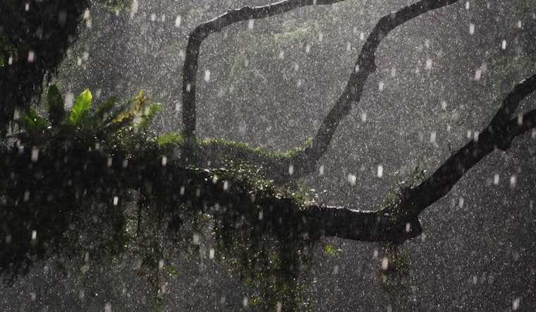 Portland Braces for Weekend Weather Mix of Rain, Snow, and Thunderstorms