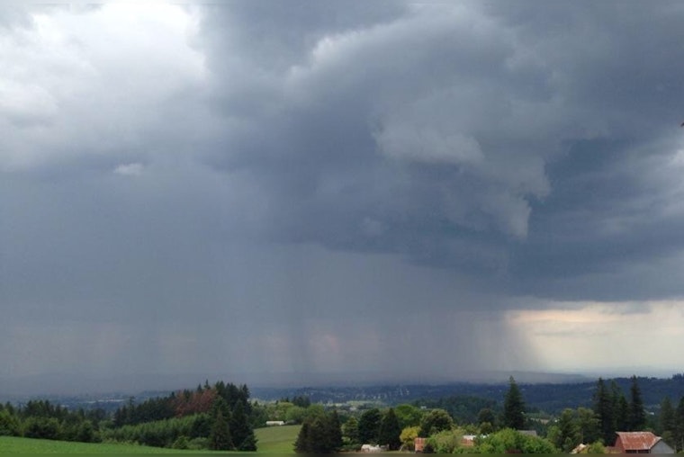 Portland Embraces Drizzly Day as Rain Gear Becomes Essential for Outdoor Ventures